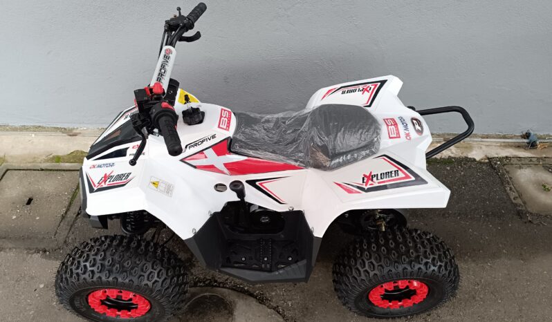 
								MINI QUAD PROFIVE EXPLORER 110cc NUOVO full									