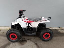 Miniquad Profive Explorer 110cc 8-12anni