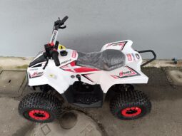 Miniquad Profive Explorer 110cc 8-12anni