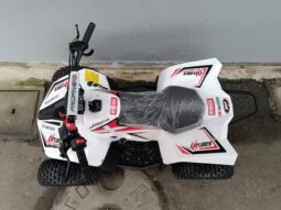 Miniquad Profive Explorer 110cc 8-12anni