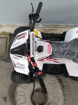 Miniquad Profive Explorer 110cc 8-12anni