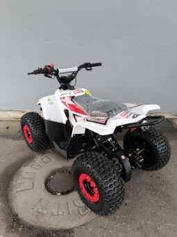 Miniquad Profive Explorer 110cc 8-12anni