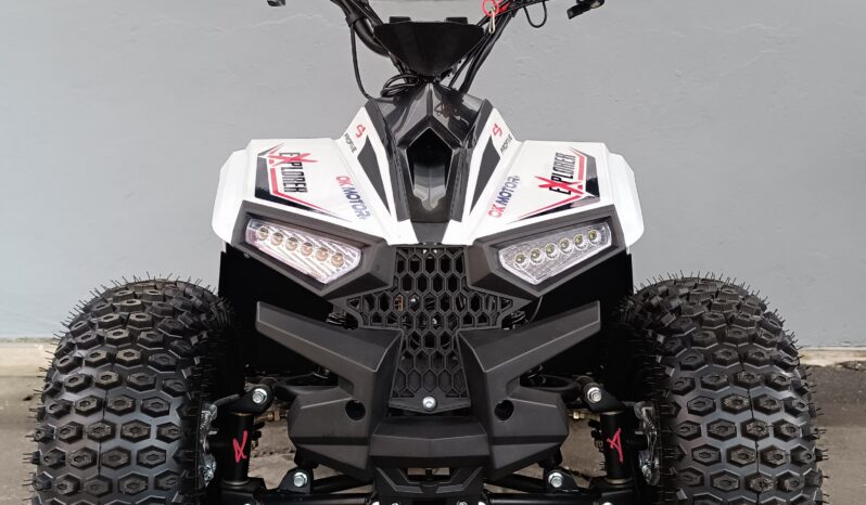 
								Miniquad Profive Explorer 110cc 8-12anni completo									