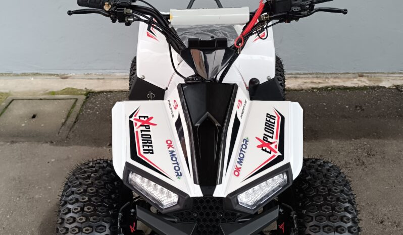 
								Miniquad Profive Explorer 110cc 8-12anni completo									