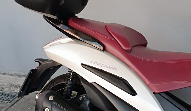 
								PEUGEOT GEOPOLIS 300 ANNO 2017 completo									
