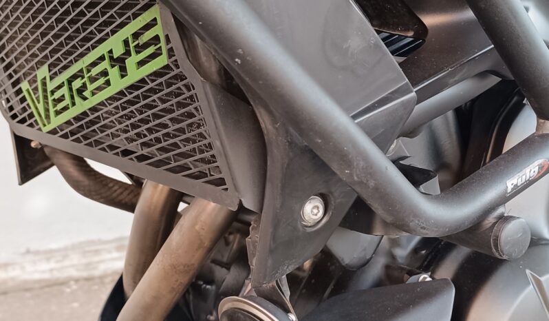 
								Kawasaki Versys 650 anno 2019 completo									