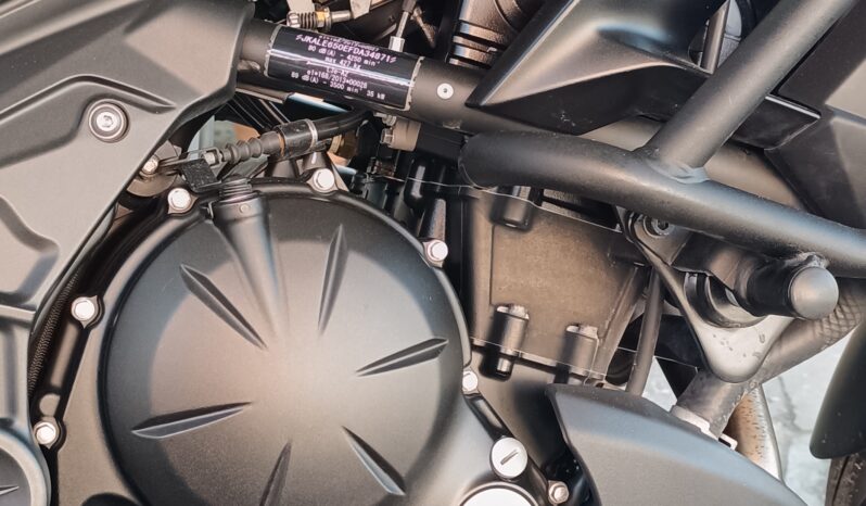 
								Kawasaki Versys 650 anno 2019 completo									
