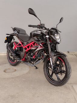 
										BENELLI BN 125 anno 2024 completo									