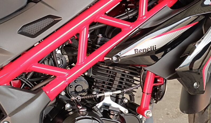 
								BENELLI BN 125 anno 2024 completo									