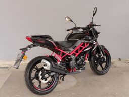 
										BENELLI BN 125 anno 2024 completo									
