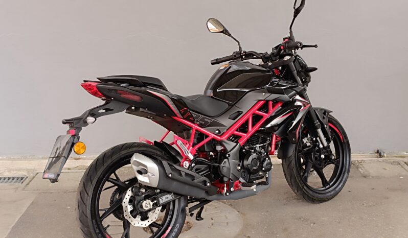 
								BENELLI BN 125 anno 2024 completo									