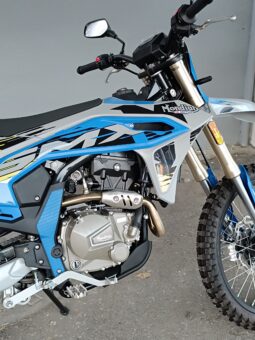 MONDIAL SMX 300
