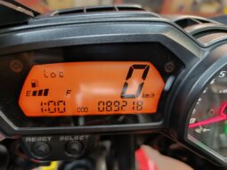 
										YAMAHA FZ1 FAZER ANNO 2009 completo									