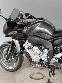 
										YAMAHA FZ1 FAZER ANNO 2009 completo									