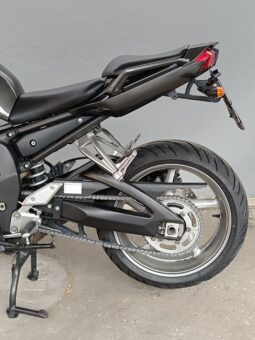 
										YAMAHA FZ1 FAZER ANNO 2009 completo									