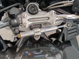 
										YAMAHA FZ1 FAZER ANNO 2009 completo									