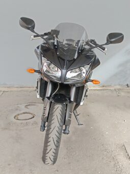 
										YAMAHA FZ1 FAZER ANNO 2009 completo									