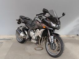 
										YAMAHA FZ1 FAZER ANNO 2009 completo									