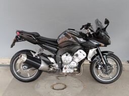 
										YAMAHA FZ1 FAZER ANNO 2009 completo									