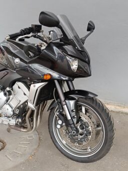 
										YAMAHA FZ1 FAZER ANNO 2009 completo									