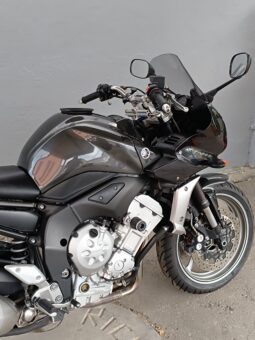 
										YAMAHA FZ1 FAZER ANNO 2009 completo									