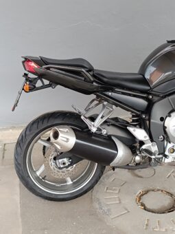 
										YAMAHA FZ1 FAZER ANNO 2009 completo									
