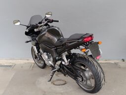 
										YAMAHA FZ1 FAZER ANNO 2009 completo									
