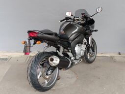 
										YAMAHA FZ1 FAZER ANNO 2009 completo									